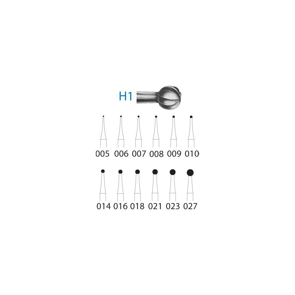 H1.204.012