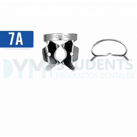 7A CLAMP WITH ALA IVORY