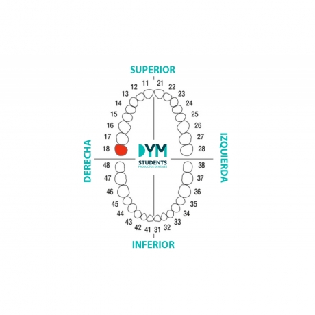 DIENTE Nº18 TERCER MOLAR SUP.DER. 1u