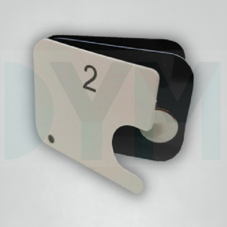 ADULT PHOSPHORUS PLATE SIZE 2