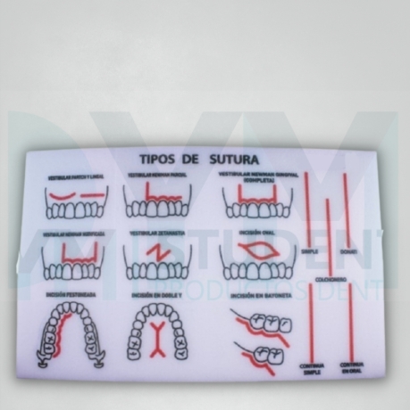 MODEL FOR SUTURA PRACTICE