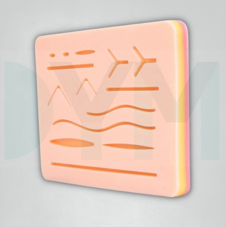 Suture Practice Model