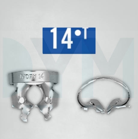 14 CLAMP WITH ALA IVORY