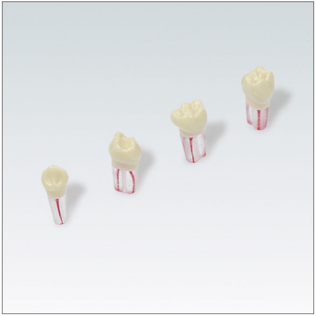 DIENTE 8.5 ZPUF ENDO FRASACO