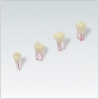 DIENTE 8.5 ZPUF ENDO FRASACO