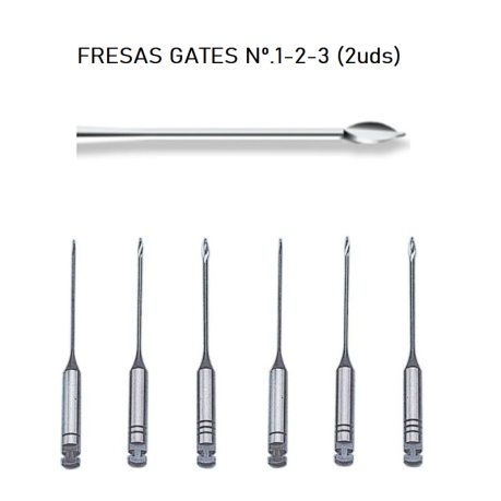GATES BURS ASSORTED 1-3 (6UDS)