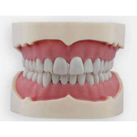 FANTOMA ADULTO TIPO AG-3 FRASACO