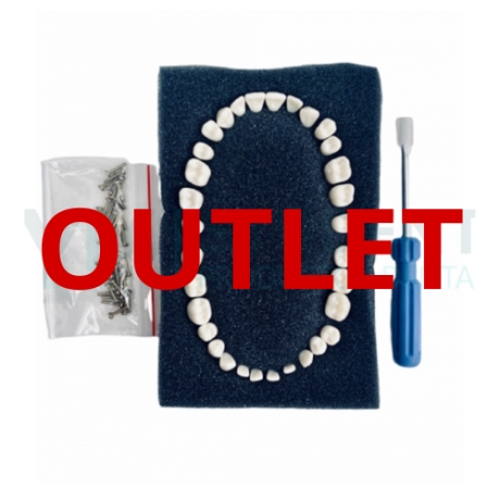 1 REPOSICIÓN DIENTES ANA-4 FRASACO ORIGINAL Outlet