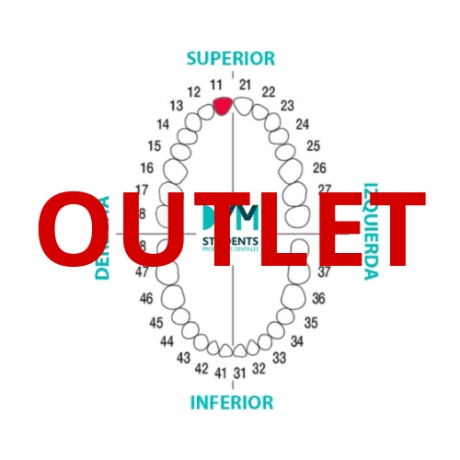 DIENTE Nº11 INCISIVO CENTRAL SUP.DER. 1U Outlet