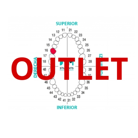 DIENTE Nº16 PRIMER MOLAR SUP.DER. 1U Outlet DIENTE Nº16 PRIMER MOLAR SUP.DER. 1U Outlet