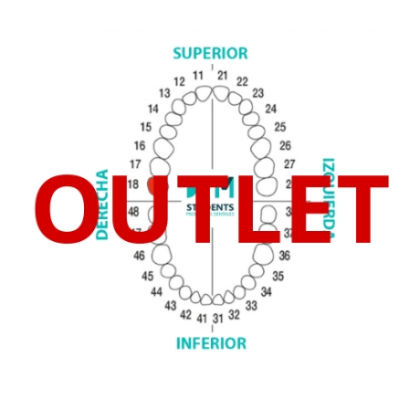 DIENTE Nº18 TERCER MOLAR SUP.DER. 1u Outlet