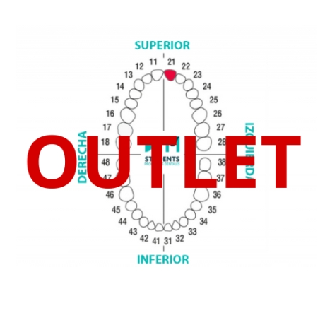 DIENTE Nº21 INCISIVO CENTRAL SUP. IZQ. 1U Outlet