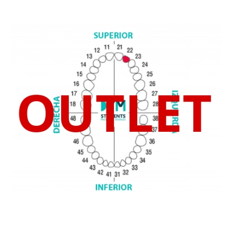 DIENTE Nº22 INCISIVO LATERAL SUP. IZQ. 1U Outlet DIENTE Nº22 INCISIVO LATERAL SUP. IZQ. 1U Outlet