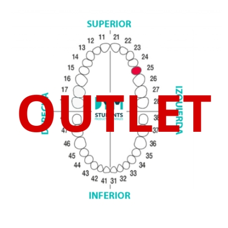 DIENTE Nº25 SEGUNDO PREMOLAR SUP.IZQ. 1U Outlet 