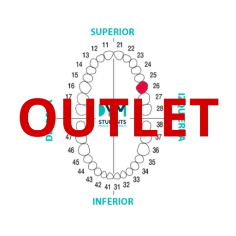 DIENTE Nº26 PRIMER MOLAR SUP.IZQ. 1U Outlet