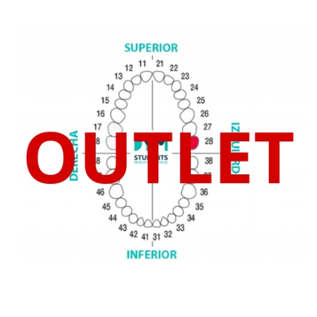 DIENTE Nº28 TERCER MOLAR SUP.IZQ. 1U Outlet