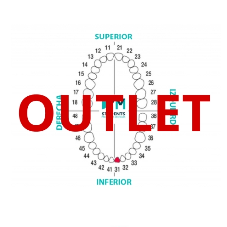 DIENTE Nº31 INCISIVO CENTRAL INF.IZQ. 1U Outlet