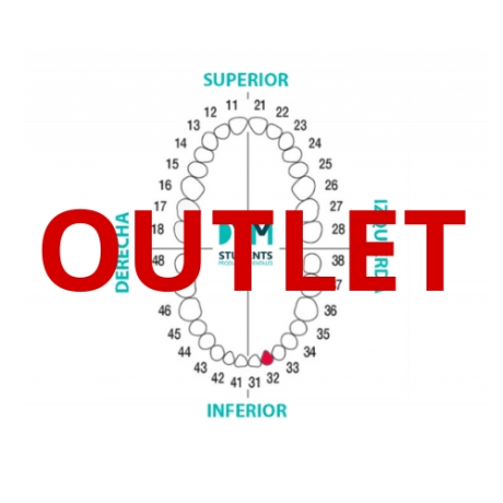 DIENTE Nº32 INCISIVO LATERAL INF.IZQ. 1U Outlet