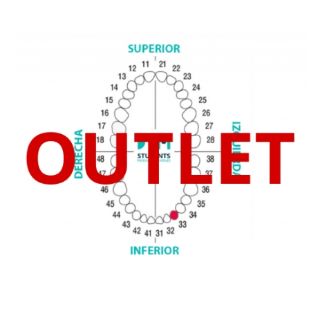 DIENTE Nº33 CANINO INF.IZQ. 1U Outlet