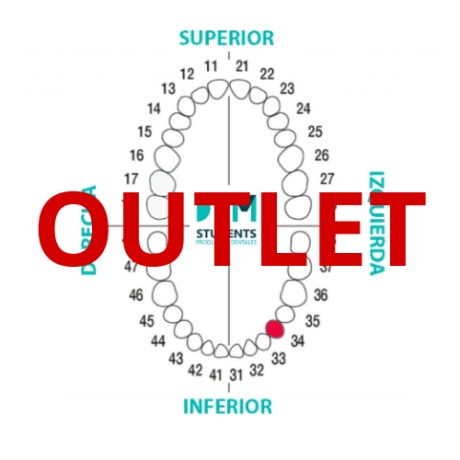 DIENTE Nº34 PRIMER PREMOLAR INF.IZQ. 1U Outlet DIENTE Nº34 PRIMER PREMOLAR INF.IZQ. 1U Outlet