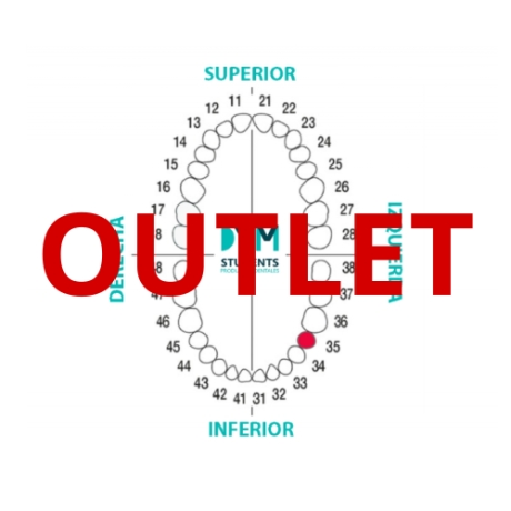 DIENTE Nº35 SEGUNDO PREMOLAR INF.IZQ. 1U Outlet 