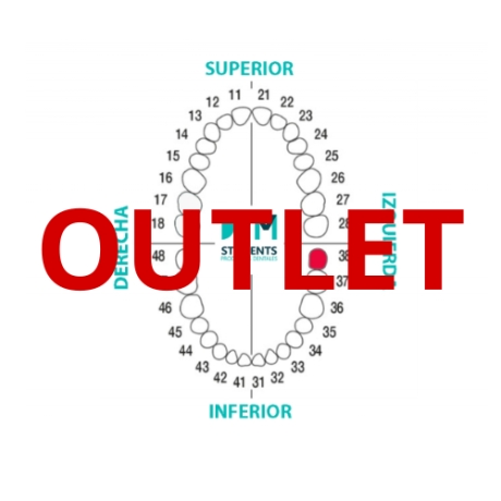 DIENTE Nº38 TERCER MOLAR INF.IZQ. 1U Outlet