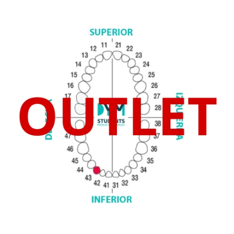 DIENTE Nº43 CANINO INF.DER. 1U Outlet