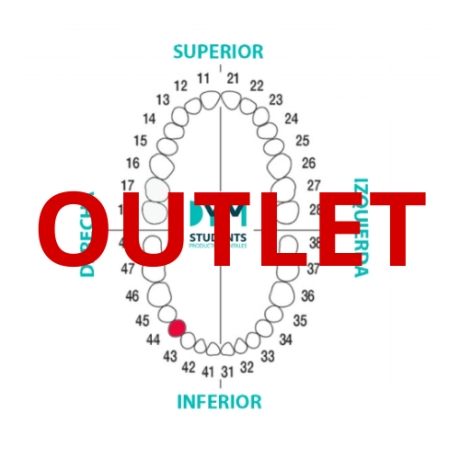 DIENTE Nº44 PRIMER PREMOLAR INF.DER. 1U Outlet