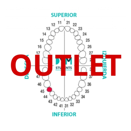 DIENTE Nº45 SEGUNDO PREMOLAR INF.DER. 1U Outlet