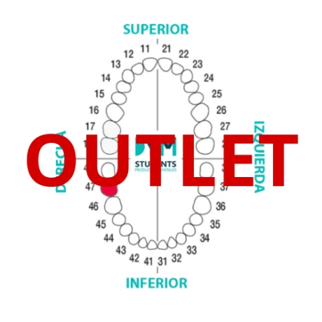 DIENTE Nº47 SEGUNDO MOLAR INF.DER. 1U Outlet