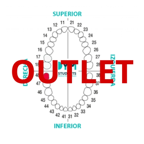 DIENTE Nº48 TERCER MOLAR INF.DER. 1U Outlet
