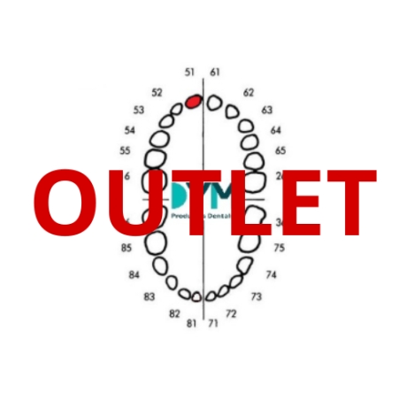 DIENTE Nº51 INCISIVO CENTRAL SUP.DER 1U Outlet