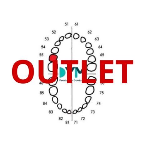 DIENTE Nº55 SEGUNDO MOLAR SUP.DER 1U Outlet 