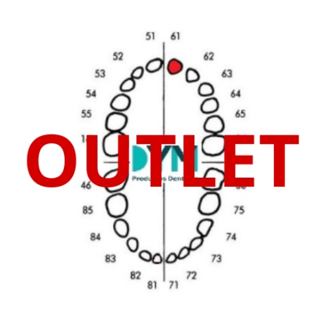 DIENTE Nº61 INCISIVO CENTRAL SUP.IZQ 1U Outlet 