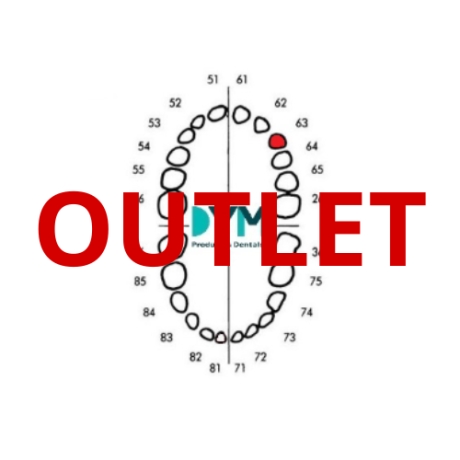 DIENTE Nº63 CANINO SUP.IZQ 1U Outlet