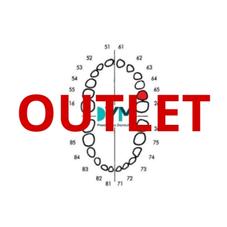 DIENTE Nº65 SEGUNDO MOLAR SUP.IZQ 1U Outlet