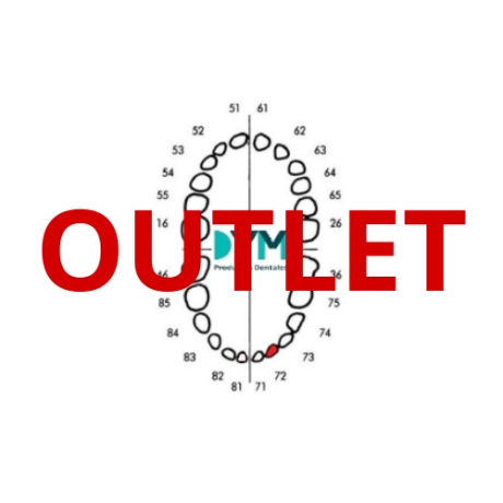 DIENTE Nº72 INCISIVO LATERAL INF.IZQ 1U Outlet 