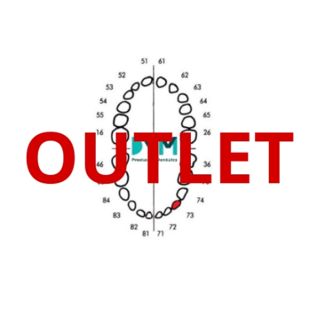 DIENTE Nº73 CANINO INF.IZQ 1U Outlet