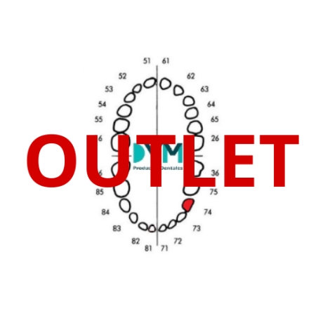 DIENTE Nº74 PRIMER MOLAR INF.IZQ 1U Outlet