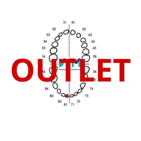 DIENTE Nº81 INCISIVO CENTRAL INF.DER 1U Outlet