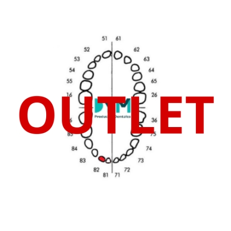 DIENTE Nº82 INCISIVO LATERAL INF.DER 1U Outlet