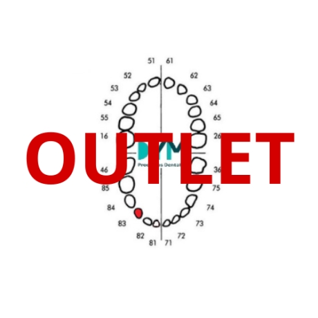 DIENTE Nº83 CANINO INF.DER 1UOutlet