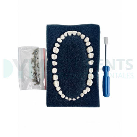 KIT DIENTES ADULTOS TIPO ANA-4 FRASACO