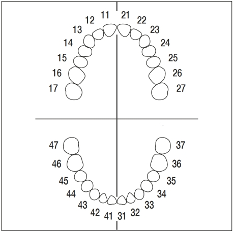 KIT DE DIENTES ANA-4 FRASACO OFICIAL
