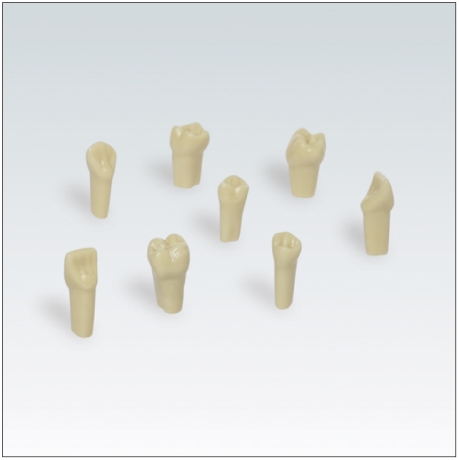 Maletin + dientes